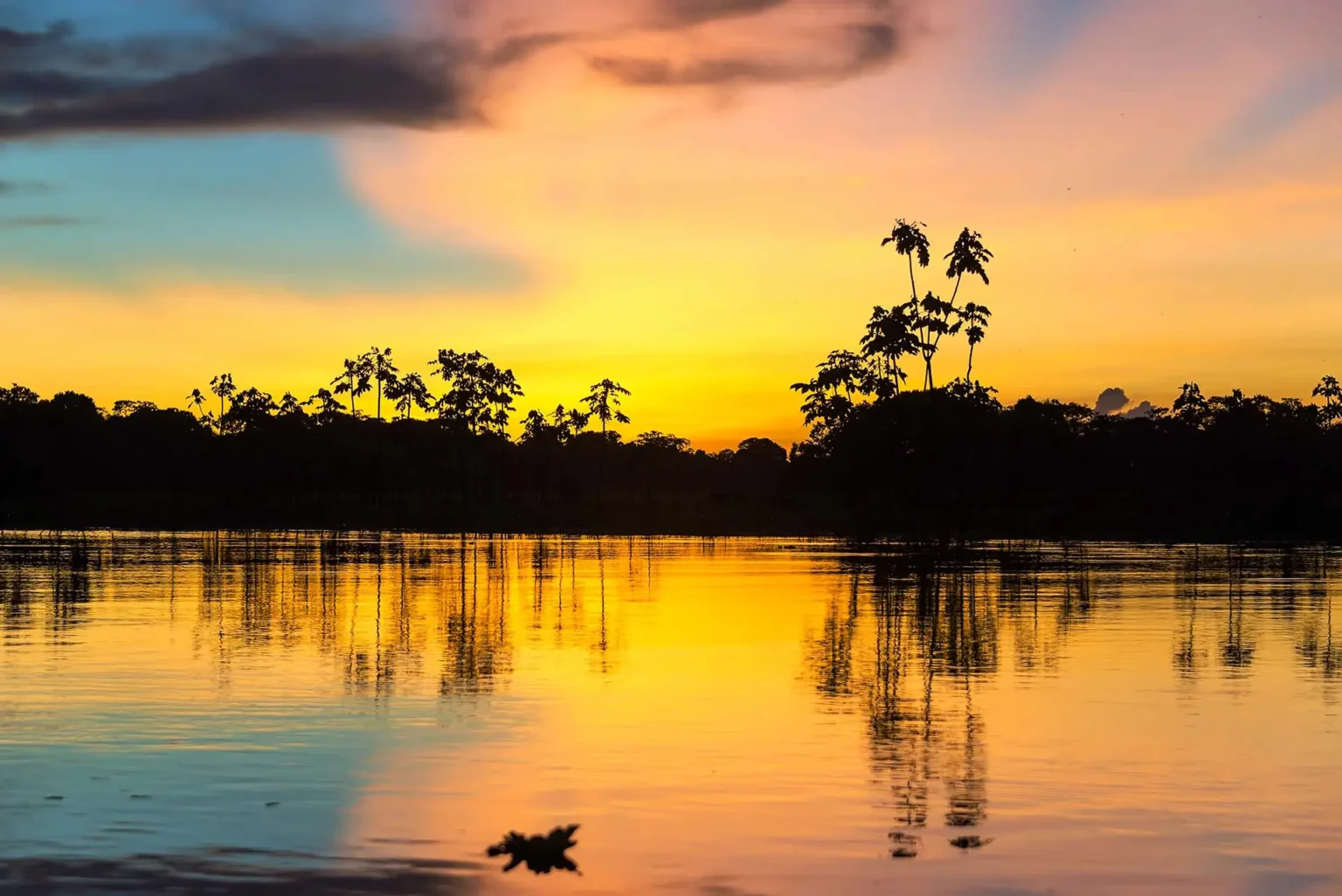 Amazônia
