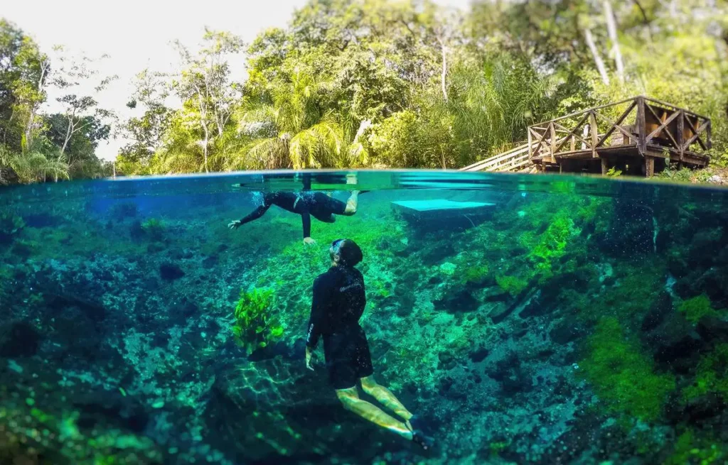 Flutuação em nascente de água cristalina cheia de peixes