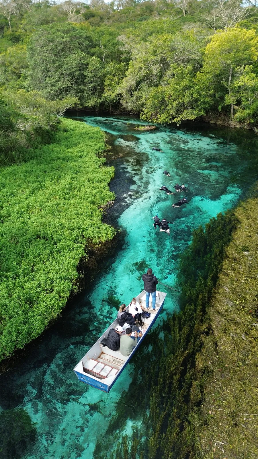 Vista aérea de um grupo flutuando de snorkel num rio azul-turquesa, com o barco de apoio