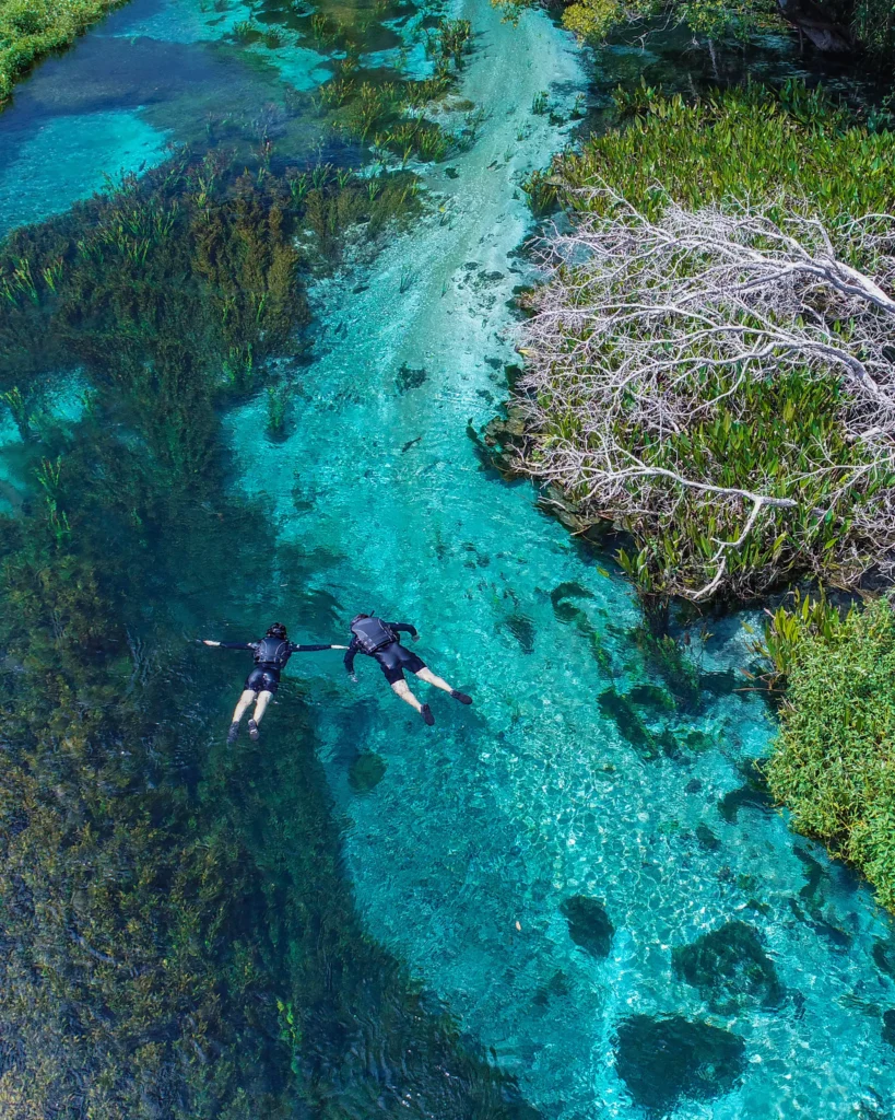 Mergulhadores na água cristalina de um rio em Bonito