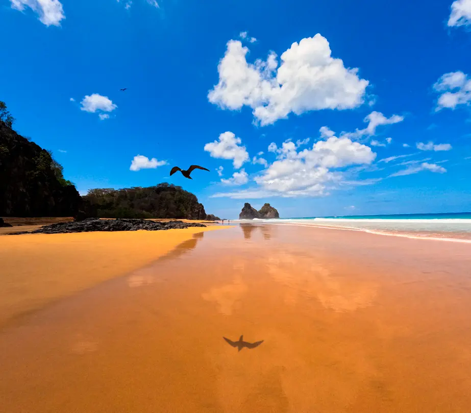 Ilha Tour 01